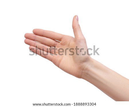 The empty female hand makes a gesture like holding something isolated in hand behind a white background.