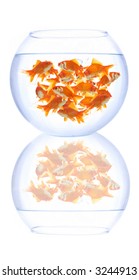 Empty Fish Bowl On White Background