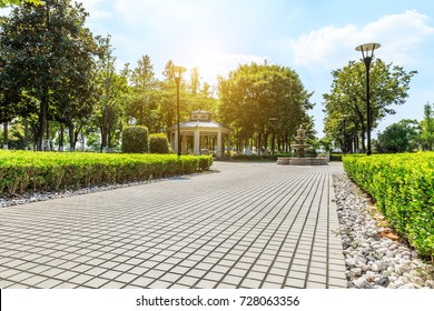 Empty Floor Road And Green Plant In Quiet City Park