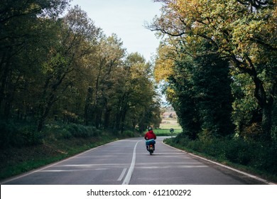 Empty forest highway road with a motorcycle rider in the distance riding his scooter on the cold autumn day - Powered by Shutterstock