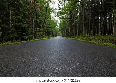 Empty Forest Road With Curve Up Ahead, Shot From Low Vantage Point