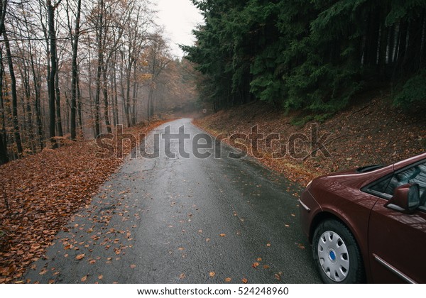 Empty forest road with family\
car