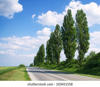 Empty Freeway With Poplar Trees