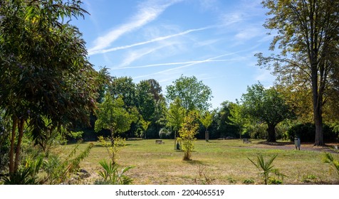 Empty German Park In Summer. Lots Of Greenery And A Blue Sky With Light Clouds. No People