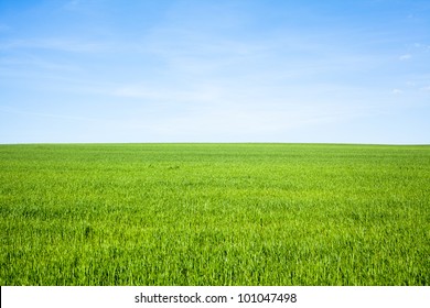 Empty Grass Field With Blue Sky