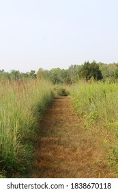 The Empty Grass Path In The Tall Grass Prairie On A Sunny Day.