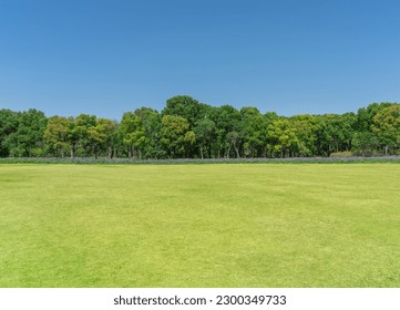 empty grassland and clear sky background in the park - Shutterstock ID 2300349733
