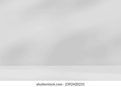 Empty gray room studio with shadow of tree leaves on the wall and floor for product presentation. Sunlight effect shadow concept. Minimal room backdrop design. Cosmetic, beauty and fashion showroom.