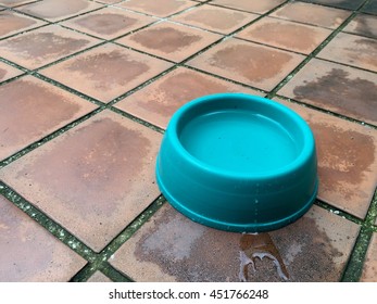An Empty Green Dog Bowl On The Dirty Orange Tile Floor