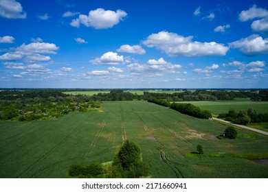 An Empty Green Grass Field With Blue Sky And White Clouds