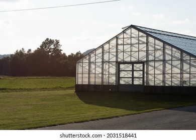 Empty Greenhouse In Sunset Light.