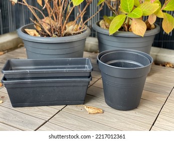 Empty Grey Flower Pots And Hydrangea Hortensia Flowers Plants In Autumn Time In Balcony Garden, Gardening Equipment Close Up