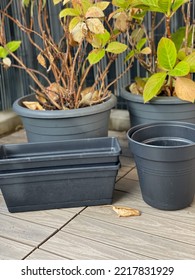 Empty Grey Flower Pots And Hydrangea Hortensia Flowers Plants In Autumn Time In Balcony Garden, Gardening Equipment Close Up