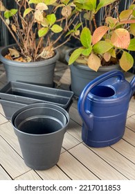 Empty Grey Flower Pots, Watering Can And Hydrangea Hortensia Flowers Plants In Autumn Time In Balcony Garden, Gardening Equipment Close Up