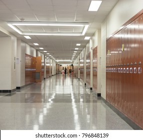 Empty hall during the classes in American college. Hallway 