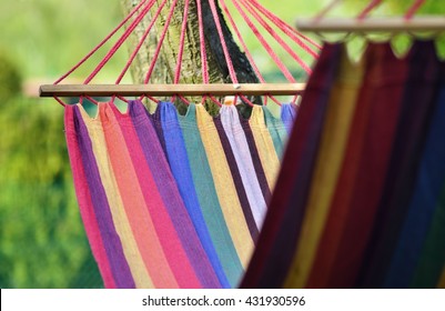 Empty Hammock.