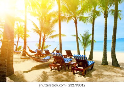 Empty Hammock Between Palm Trees