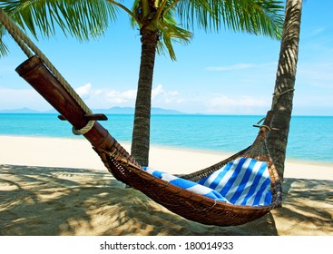 Empty Hammock Between Palms Trees At Sandy Beach