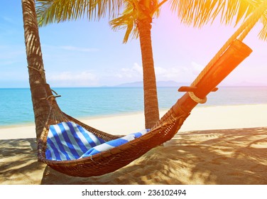 Empty Hammock Between Palms Trees