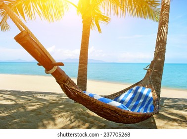 Empty Hammock Between Palms Trees