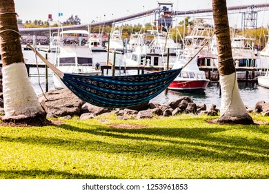 Empty Hammock Between Two Palm Trees. Guatemala , Puerto Quetzal '