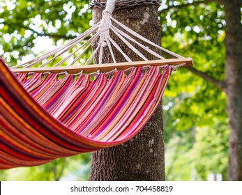 Empty Hammock By A Tree