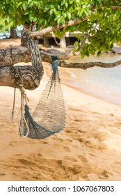 Empty hammock hang on tree near the beach.