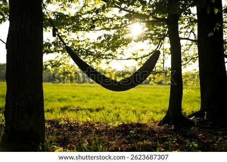 Empty hammock hanging between trees at the edge of a forest during sunrise, surrounded by peaceful evening light