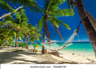 Empty hammock in the shade of palm trees on tropical Fiji Islands