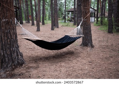An empty hammock in the woods