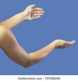 Empty hand poses isolate