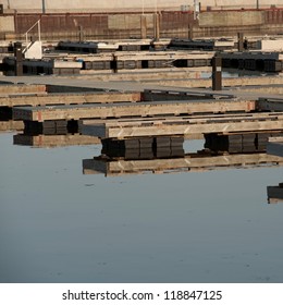 Empty harbor