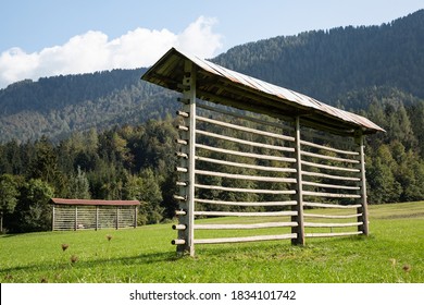 drying rack forest