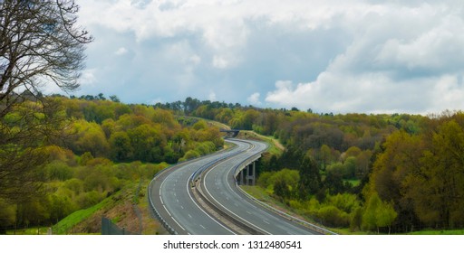 empty highway in the forest