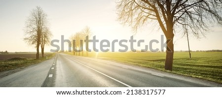 An empty highway through the agricultural countryside fields at sunset. An alley of tall deciduous trees. Bus stop in the background. Latvia. Spring landscape. New asphalt road
