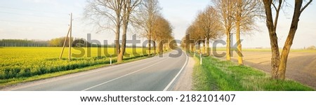An empty highway through the agricultural countryside fields at sunset. An alley of tall deciduous trees. Spring landscape. New asphalt road. Speed, freedom, driving. Panoramic view