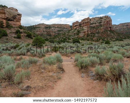 Empty hiking path leading into a canyon in Colorado National Monument in a partly cloudy morning in summer
