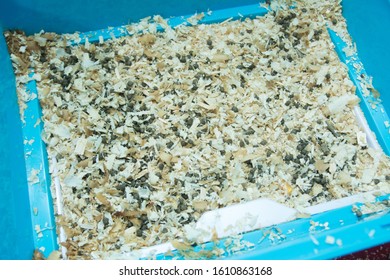 Empty Home Rabbit Cage With Sawdust From The Top View