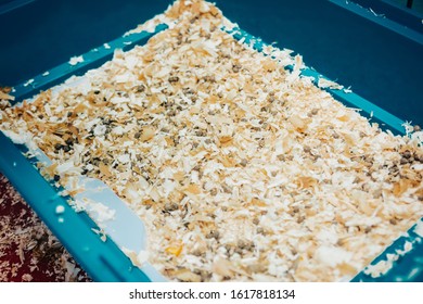 Empty Home Rabbit Cage With Sawdust From The Top View