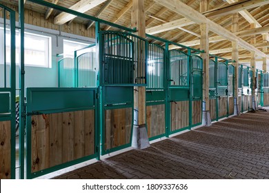 Empty horse stalls in modern stable building. Wooden and green metal, clean and neat stud interior. 