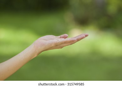 empty human hand with bokeh background