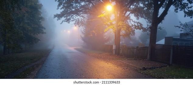 An Empty Illuminated Country Asphalt Road Through The Trees And A Small Town In A Fog On A Rainy Day. Speed Bump, Street Lantern Close-up, Red Light. Road Trip, Transportation, Communications, Driving