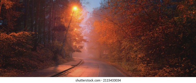 An Empty Illuminated Country Asphalt Road Through The Trees And A Small Town In A Fog On A Rainy Day, Street Lanterns Close-up, Red Light. Road Trip, Transportation, Communications, Driving