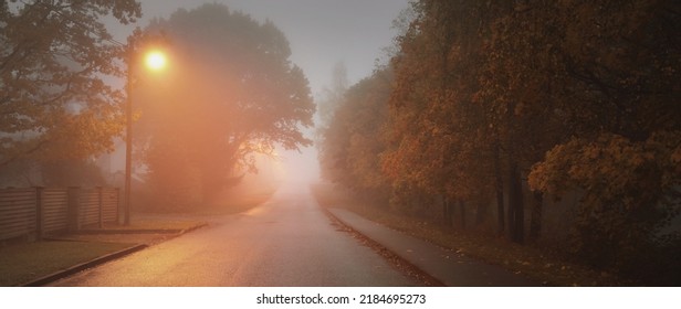 An Empty Illuminated Country Asphalt Road Through The Trees And A Small Town In A Fog On A Rainy Day, Street Lanterns Close-up, Red Light. Road Trip, Transportation, Communications, Driving