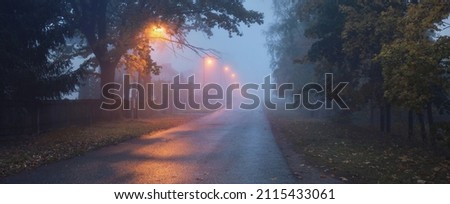 An empty illuminated country asphalt road through the trees and village in a fog on a rainy autumn day, street lanterns close-up, red light. Road trip, transportation, communications, driving