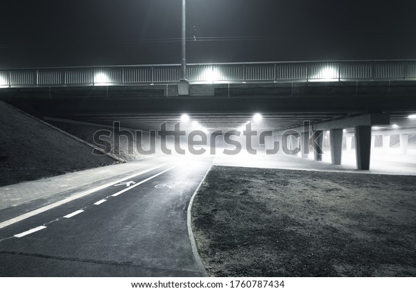 An empty illuminated\
motorway, bicycle road and pedestrian walkway under the bridge in a\
fog at night. Dark urban scene. Riga, Latvia. Dangerous driving,\
concept image