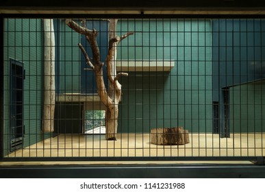 Empty Indoor Cage In Zoo.