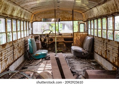 The Empty Inside Of A Rusty Old Yellow School Bus Overgrown With Weeds In An Auto Wrecker Scrap Yard