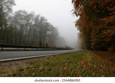 Empty intercity highway on a foggy day along the railway and autumn forest - Powered by Shutterstock