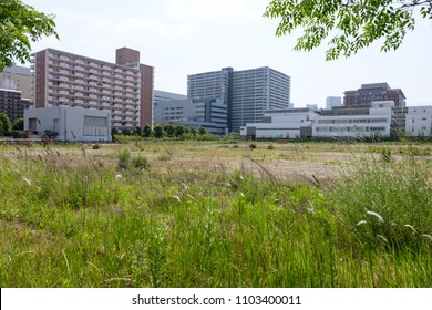 Empty Lot In Japan
